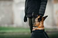 Лемарк Ультима Спортс