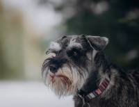 Кучумова Наталья